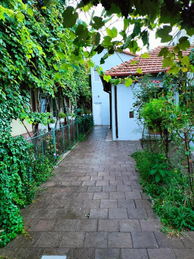 Ivavev Is Us Bythesea Constanta Bagian luar foto